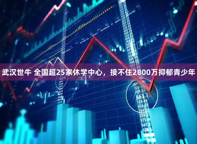 武汉世牛 全国超25家休学中心，接不住2800万抑郁青少年