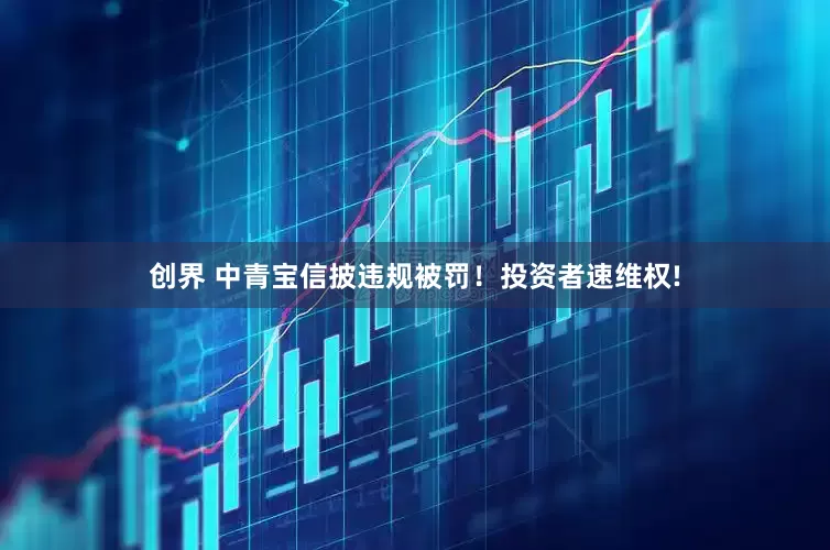 创界 中青宝信披违规被罚！投资者速维权!