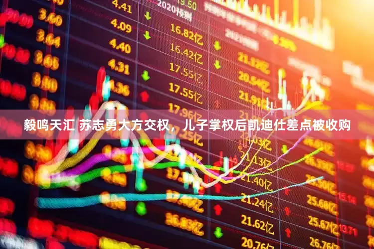 毅鸣天汇 苏志勇大方交权，儿子掌权后凯迪仕差点被收购