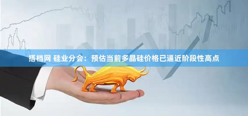 搭档网 硅业分会：预估当前多晶硅价格已逼近阶段性高点