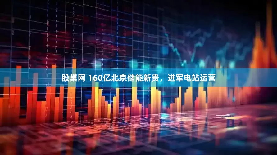 股巢网 160亿北京储能新贵，进军电站运营