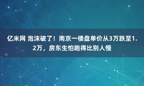 亿米网 泡沫破了！南京一楼盘单价从3万跌至1.2万，房东生怕跑得比别人慢