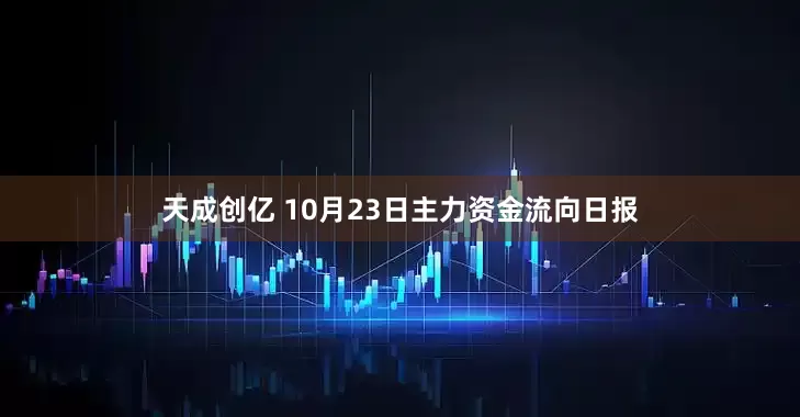 天成创亿 10月23日主力资金流向日报